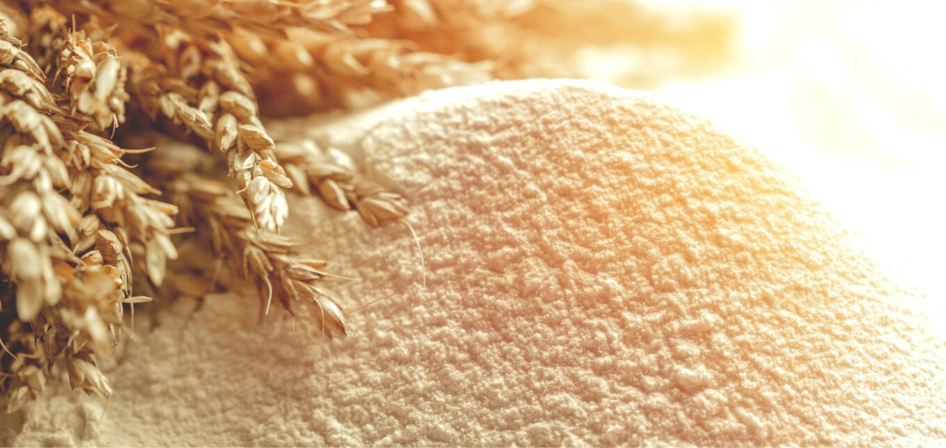 Best Home Grain Mills for Quality Flour – Mother Earth News - Vimarsana News